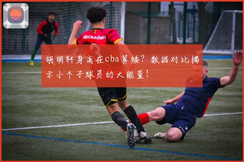 胡明轩身高在cba算矮？数据对比揭示小个子球员的大能量！