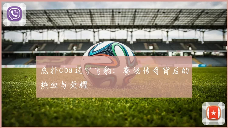 虎扑cba辽宁飞豹：赛场传奇背后的热血与荣耀