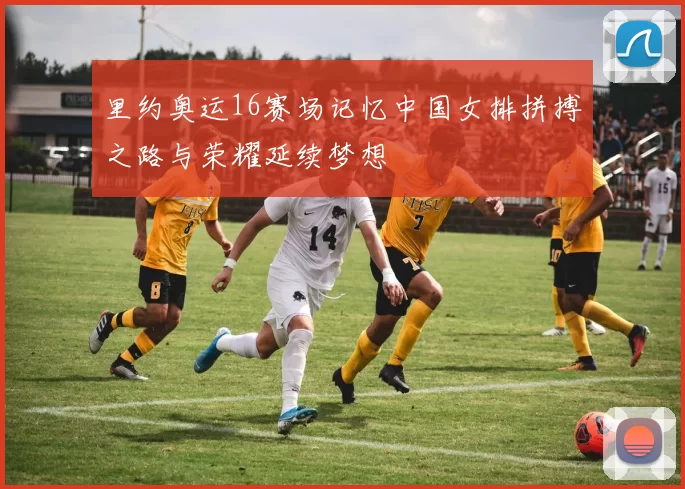 里约奥运16赛场记忆中国女排拼搏之路与荣耀延续梦想