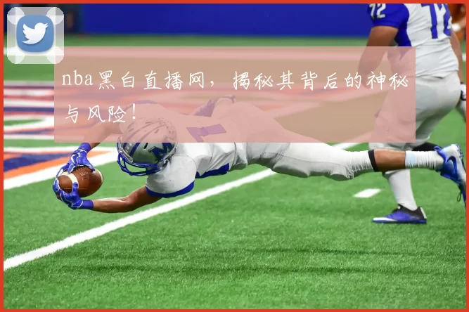 nba黑白直播网，揭秘其背后的神秘与风险！