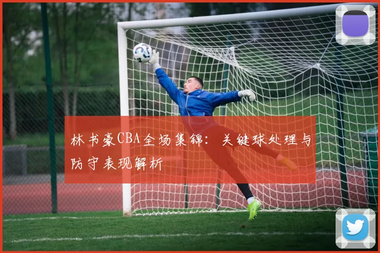 林书豪CBA全场集锦:关键球处理与防守表现解析