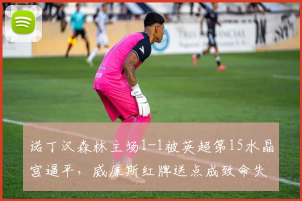 诺丁汉森林主场1-1被英超第15水晶宫逼平，威廉斯红牌送点成致命失误_比赛_平局_机会