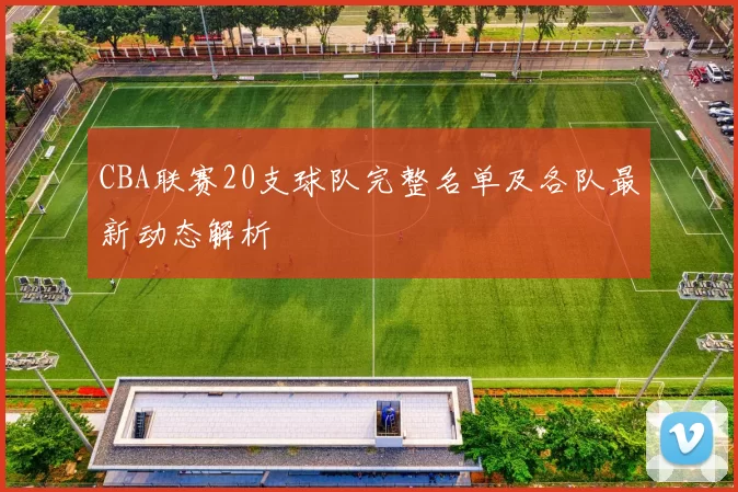 CBA联赛20支球队完整名单及各队最新动态解析