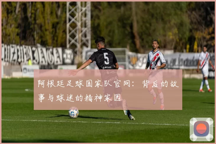 阿根廷足球国家队官网：背后的故事与球迷的精神家园