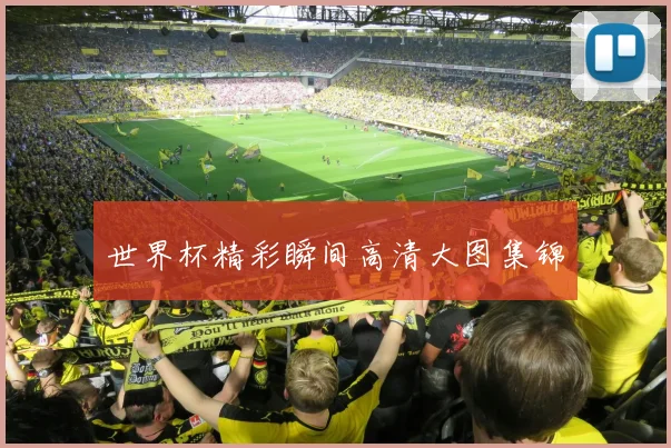 世界杯精彩瞬间高清大图集锦