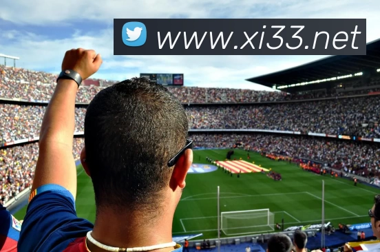 开云(Kaiyun) - 中国官方服务平台发展历程