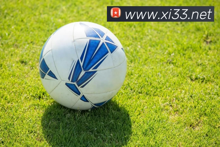 线看奥运会app带你掌握东京赛场全程直播热讯与赛程解读即时